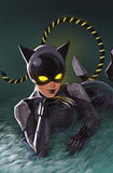 ABSOLUTE CATWOMAN #2 (bundle of 4)