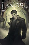 Angel #1 ( 4 book bundle)