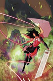 ABSOLUTE WONDER WOMAN #24 (4 book bundle)