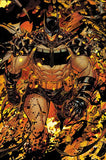 Absolute Batman #25 (10 Cover Bundle)
