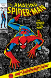 AMAZING SPIDER-MAN #100 FACSIMILE EDITION (bundle of 2)